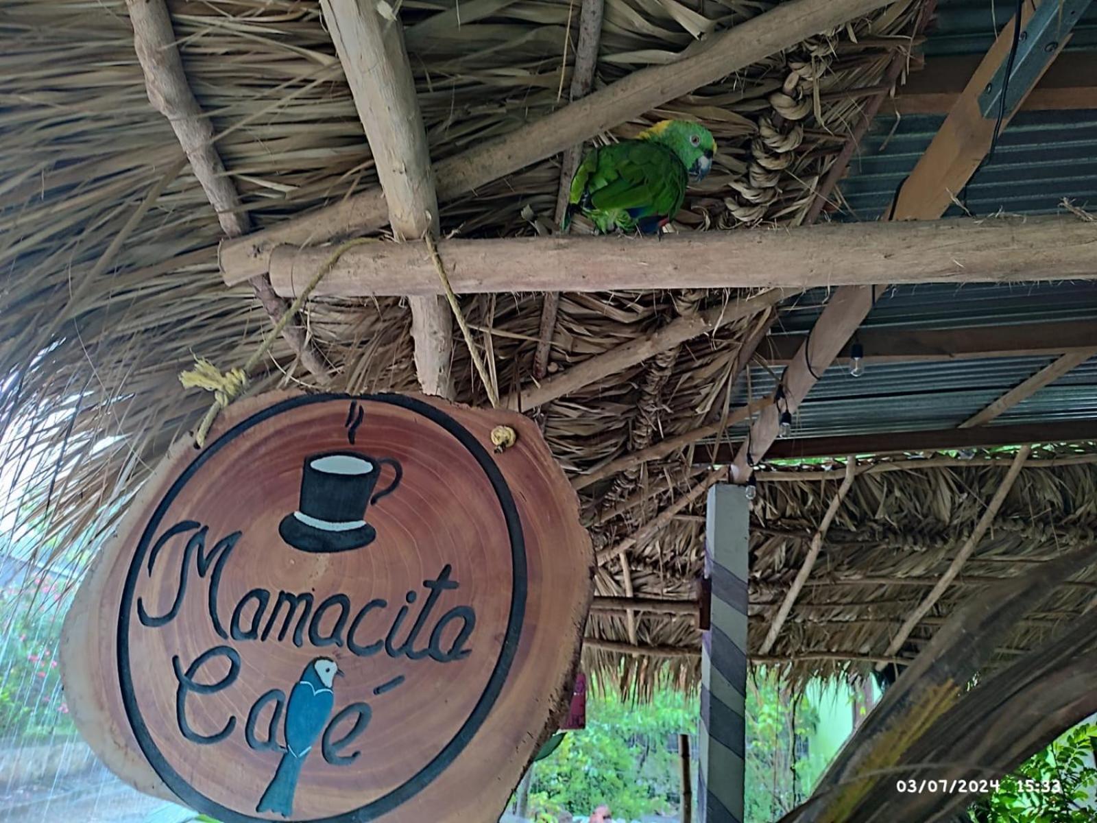 Mamacita Cafe House Otel Moyogalpa Dış mekan fotoğraf