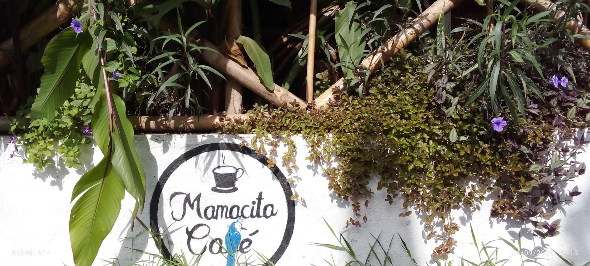 Mamacita Cafe House Otel Moyogalpa Dış mekan fotoğraf